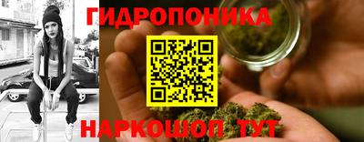 скорость Аргун