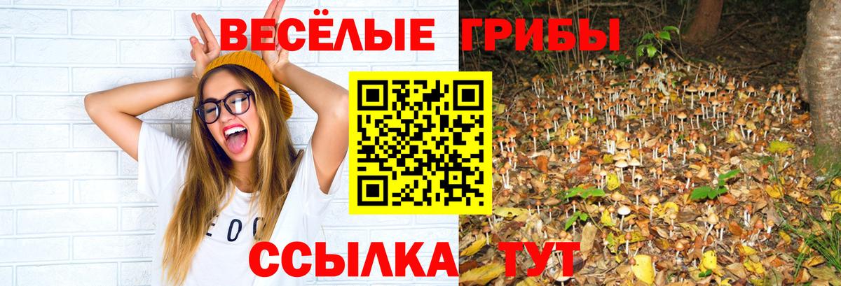 Галлюциногенные грибы GOLDEN TEACHER Ачинск