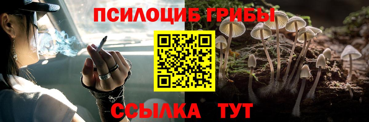 Ачинск  Псилоцибиновые грибы Cubensis  Вход с VPN 